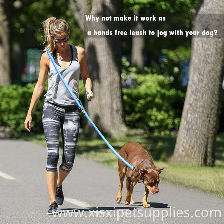 6.2ft Multifunctional Dog Leash, Double Ended Lead Last Long, Walk Train Your Pet in Multiple Way